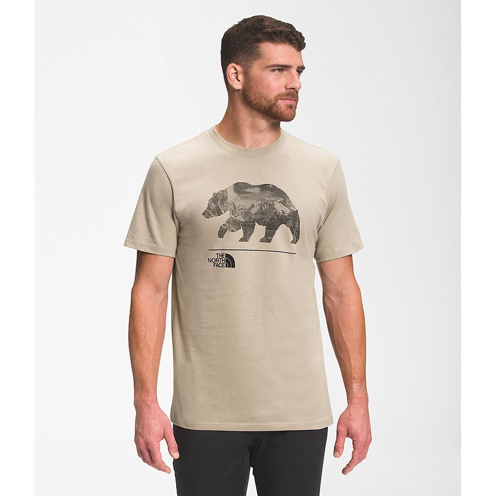 The North Face T-Shirts Mens Australia - The North Face Bearscape Short Sleeve Khaki (QLU-092673)